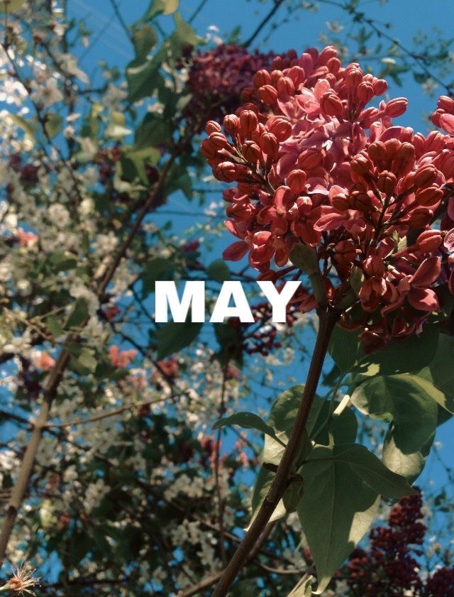 May I